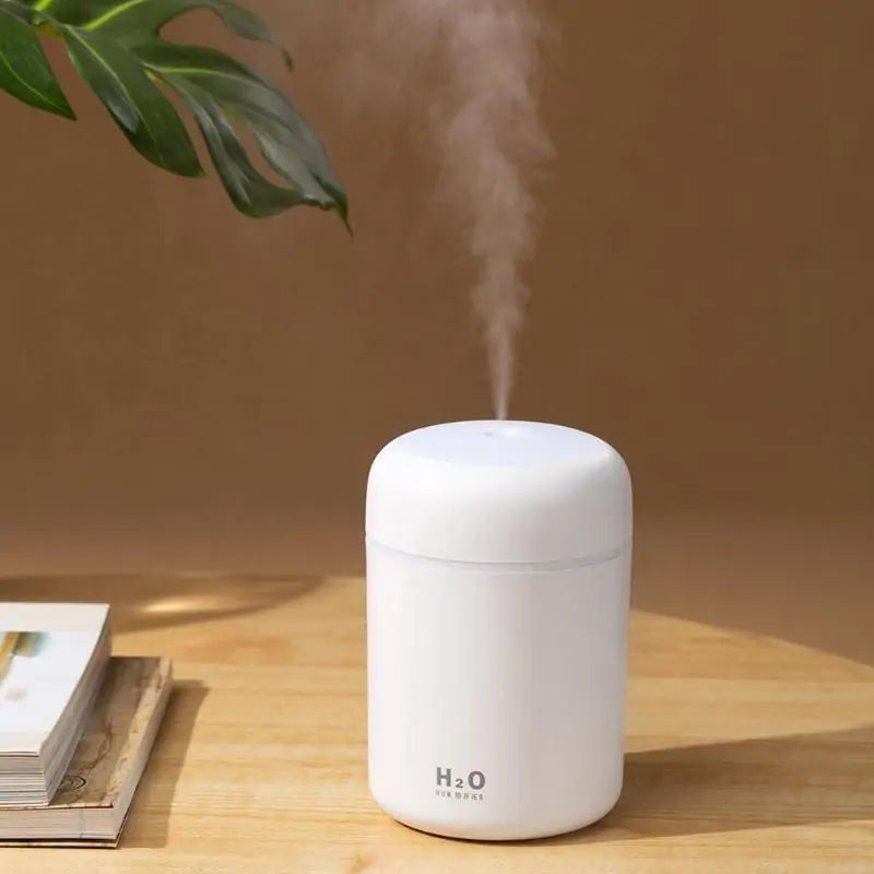 Mini Ultrasonic Humidifier